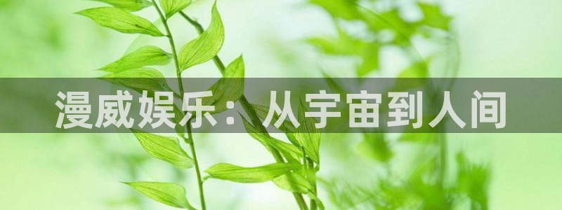 新城平台网页版登录：漫威娱乐：从宇宙到人间