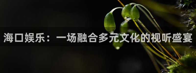 新城平台：海口娱乐：一场融合多元文化的视听盛宴