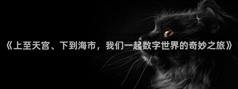 新城平台：《上至天宫、下到海市，我们一起数字世界的奇妙之旅》