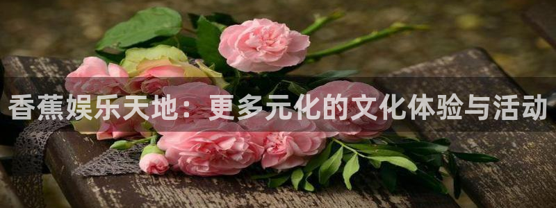 新城平台网页版登录：香蕉娱乐天地：更多元化的文化体验与活动