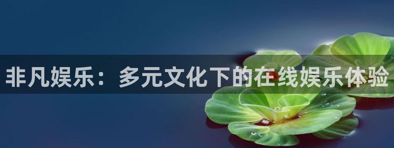 新城平台网页版登录：非凡娱乐：多元文化下的在线娱乐体验