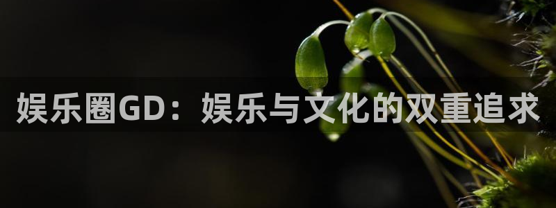 新城平台网页版登录：娱乐圈GD：娱乐与文化的双重追求
