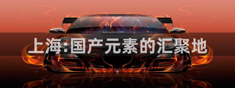新城平台登录：上海:国产元素的汇聚地