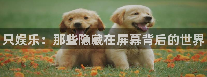 新城平台登录：只娱乐：那些隐藏在屏幕背后的世界