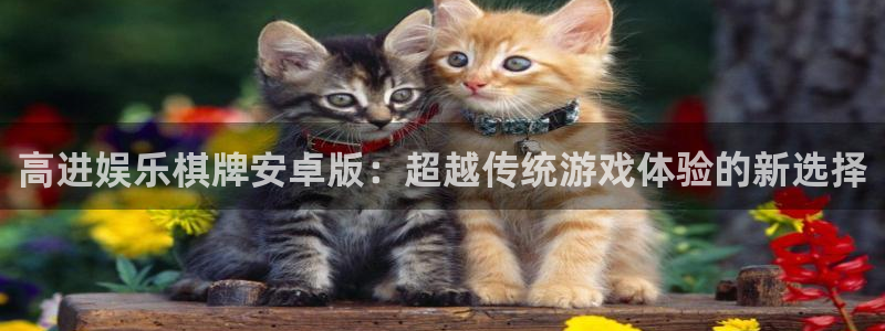 新城平台登录：高进娱乐棋牌安卓版：超越传统游戏体验的新选择