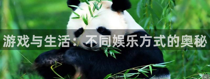 新城平台：游戏与生活：不同娱乐方式的奥秘