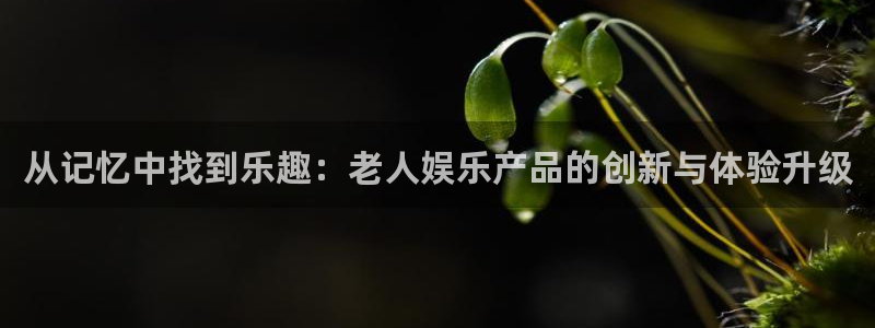 新城平台官网：从记忆中找到乐趣：老人娱乐产品的创新与体验升级