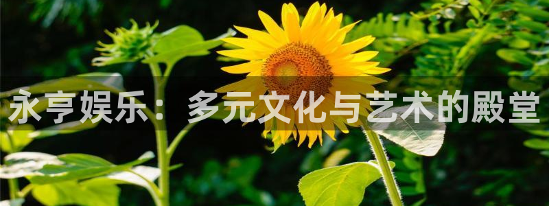 新城平台登录：永亨娱乐：多元文化与艺术的殿堂