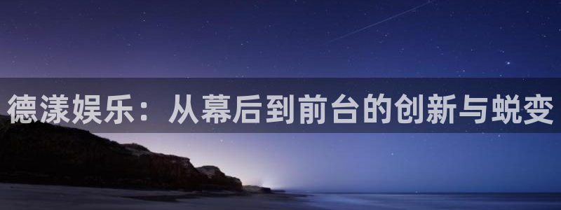 新城平台