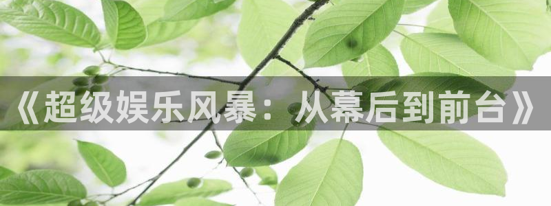 新城平台网页版登录：《超级娱乐风暴：从幕后到前台》