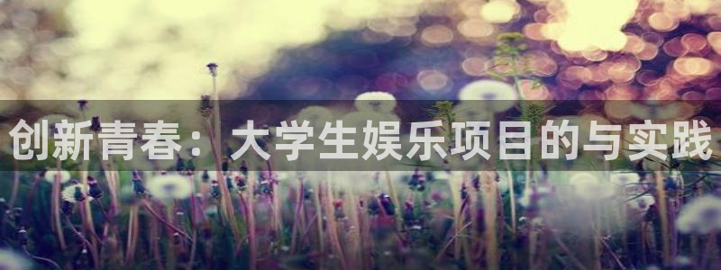 新城平台：创新青春：大学生娱乐项目的与实践